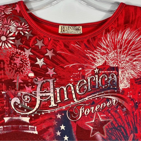 USA Southern Grunge Patriotic Tee Size Large Blue Canyon Shirt Y2K Country LNC - Picture 4 of 8